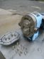 WAUKESHA SIZE 10 STAINLESS STEEL POSITIVE DISPLACEMENT PUMP, 2 HP