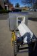 Safeline 8 In. Wide x 12 In. High SS Conveyorized Metal Detector