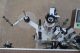 Sammi Pack Automatic Spot/Wraparound Pressure Sensitive Labeling Machine, with Coder