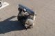 ARO Air Operated Double Diaphragm Pump