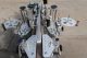 Pack Leader Front, Back and Wraparound Pressure Sensitive Labeler