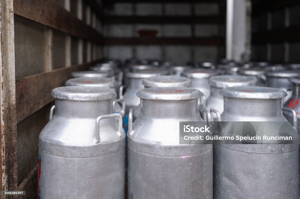 Dairy Processing & Packaging