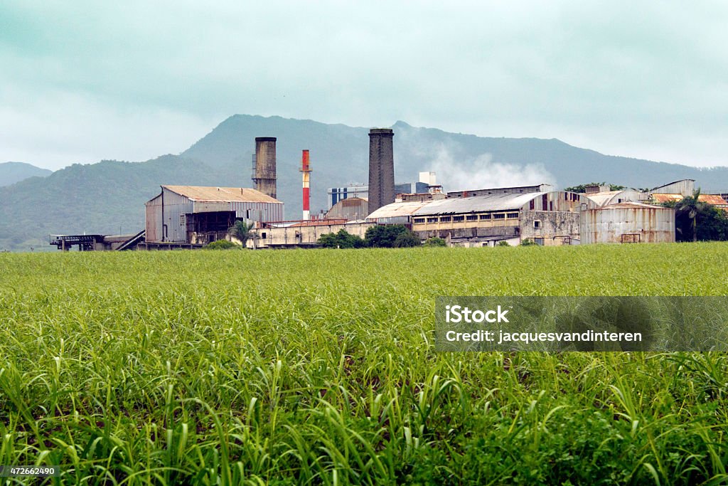 Sugar Mills & Refineries