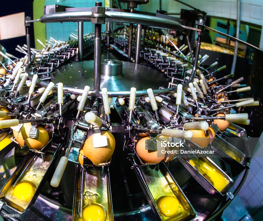 Sauce, Dairy & Mayonnaise Industry