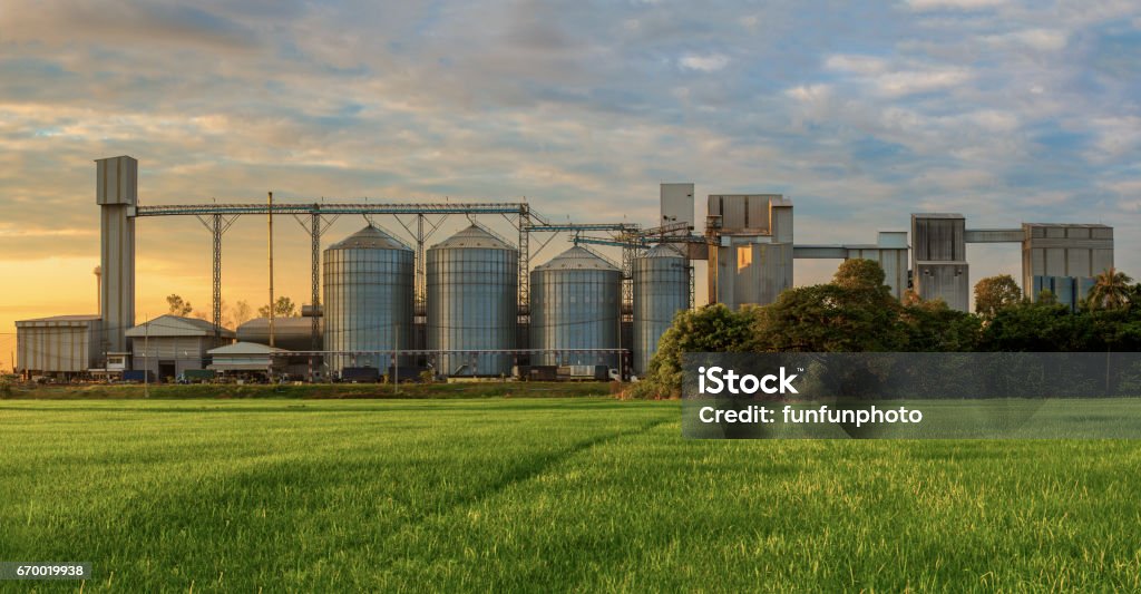 Food Manufacturing